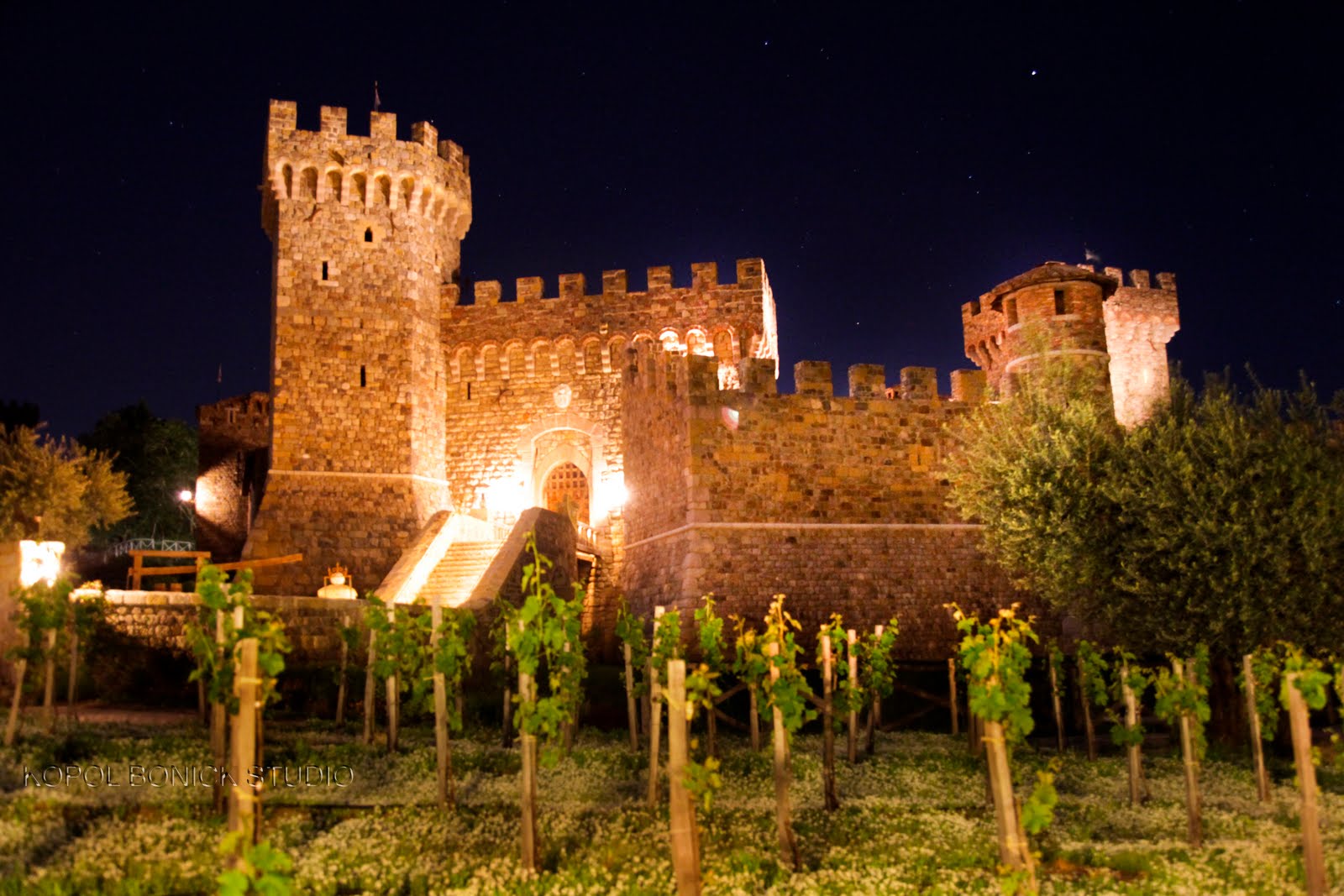 Wine Tour Castello di Amorosa - Land Yacht Limos